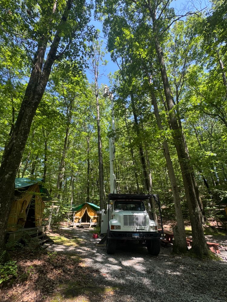 All Photos for Hennessey Tree & Landscape LLC in Oxford,  CT 