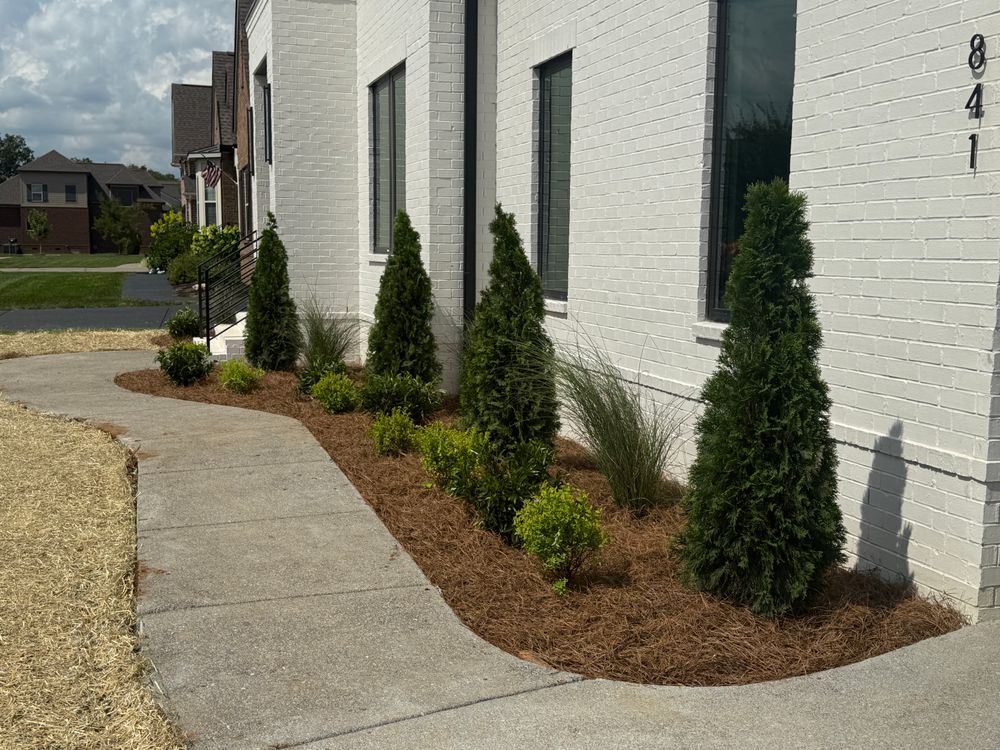 All Photos for The Right Price Right Choice Lawn Care Services in Murfreesboro, TN