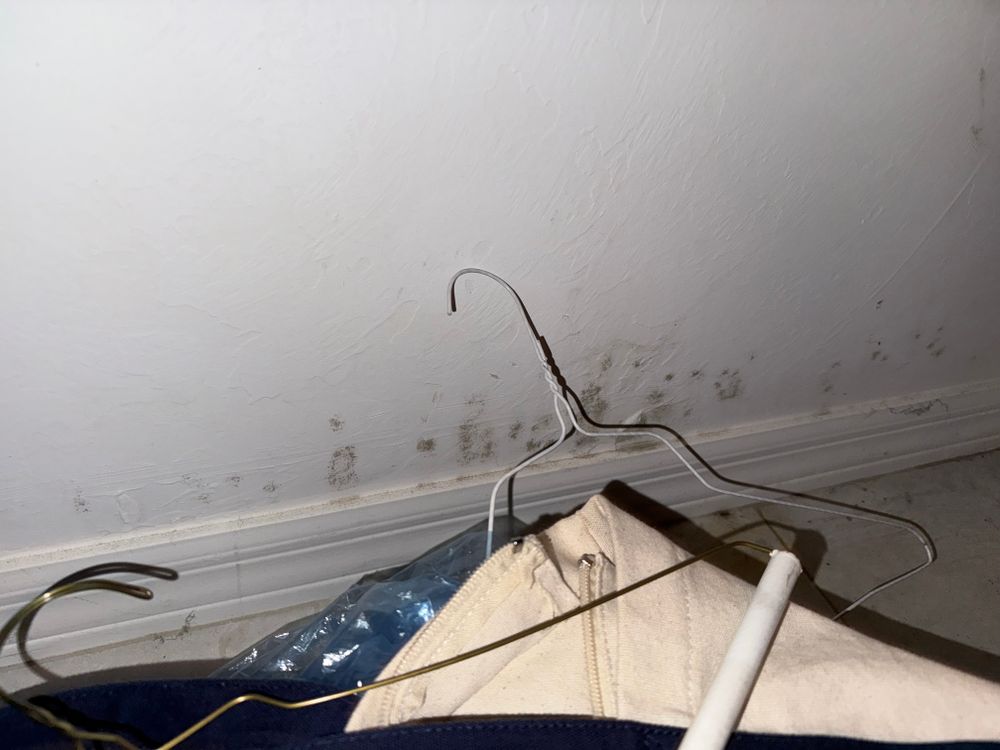 All Photos for N&D Restoration Services When Disaster Attacks, We Come In in Cape Coral,  FL