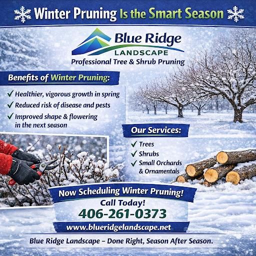 All Photos for Blue Ridge Landscape in Polson, MT