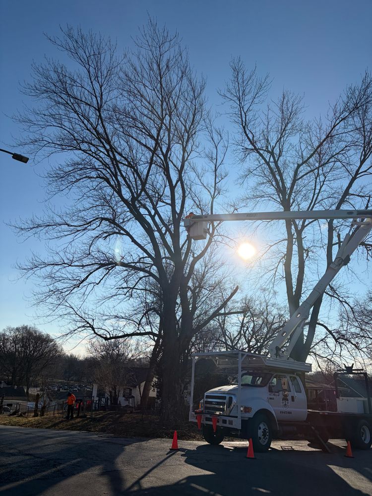 All Photos for Cross Family Tree Service in Kearney, MO