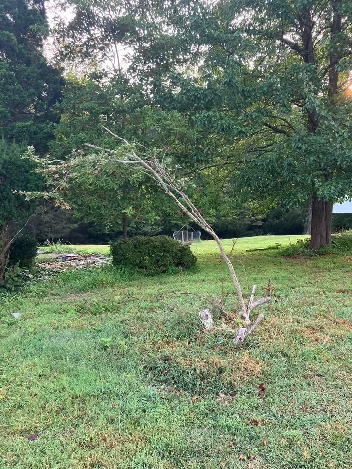 All Photos for 9999 Building and Renovation LLC in Warrenton, VA