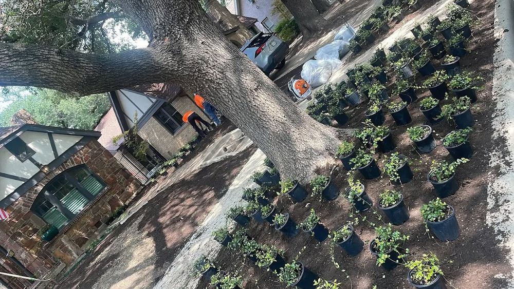 All Photos for Valadez Landscaping LLC in Fort Worth, TX