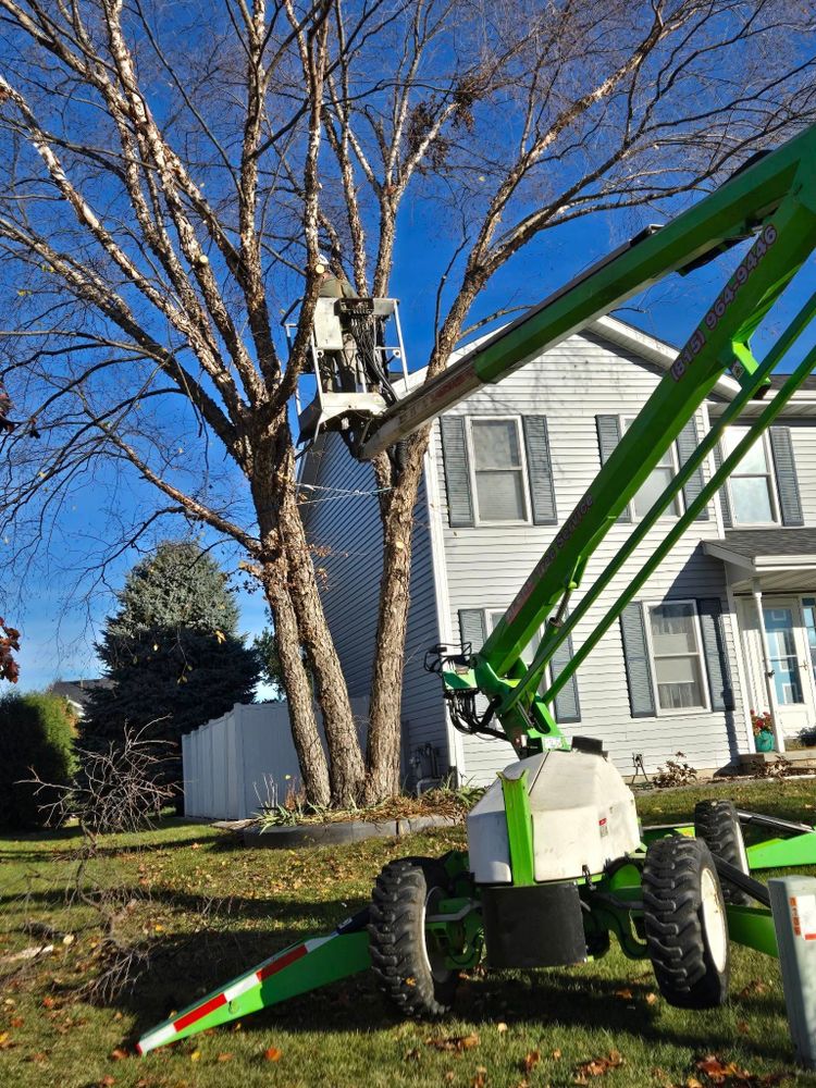 Our professional tree removal service safely eliminates hazardous trees from your property with precision and care. We ensure efficient clearing while preserving the beauty and safety of your landscape. for Olson Tree Service, Inc in Winnebago County, IL