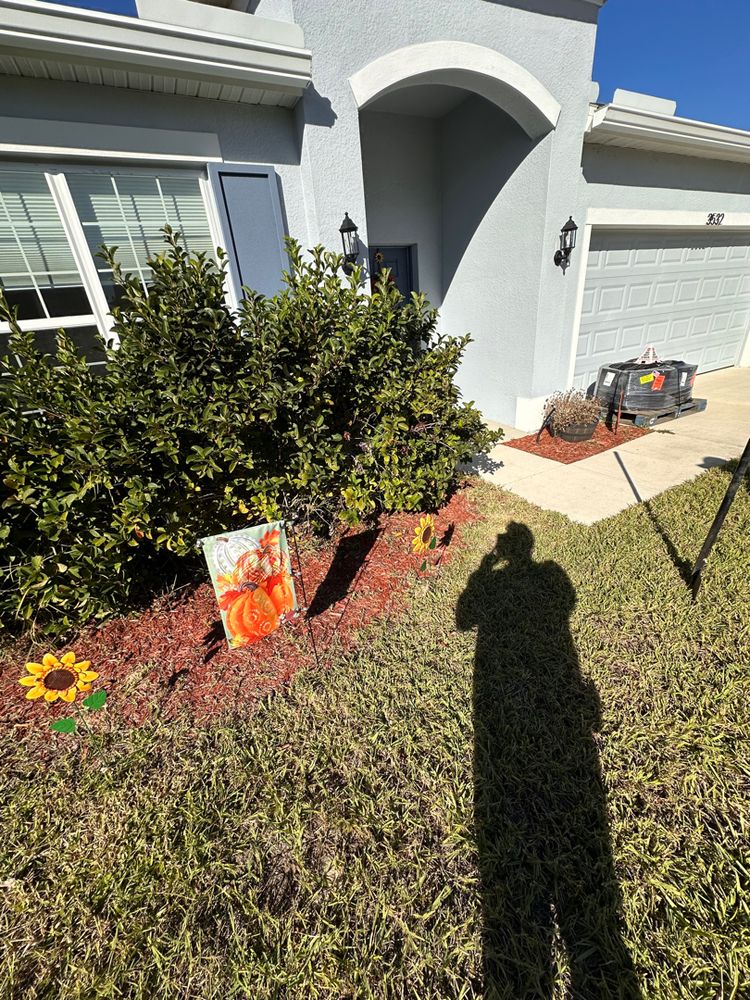 All Photos for Ludlows Services in Clermont, FL