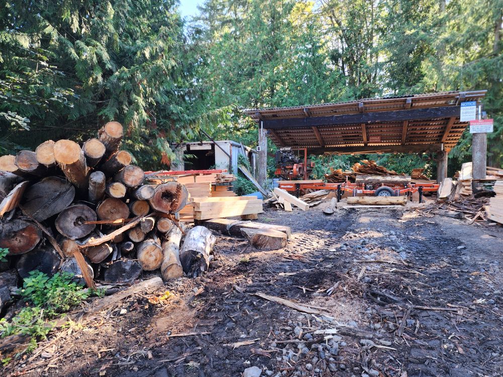 At the sawmill  for The Baskins Sawmill in Port Angeles,  WA