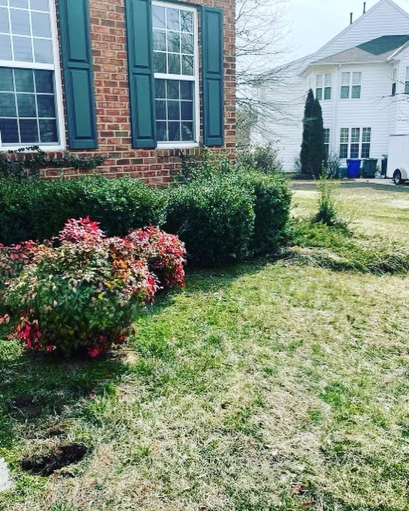 Our expert team will help you enhance the beauty of your lawn by planting a variety of colorful flowers, shrubs, and trees to create a vibrant and inviting outdoor space. for A Landscaping King in Upper Marlboro , MD