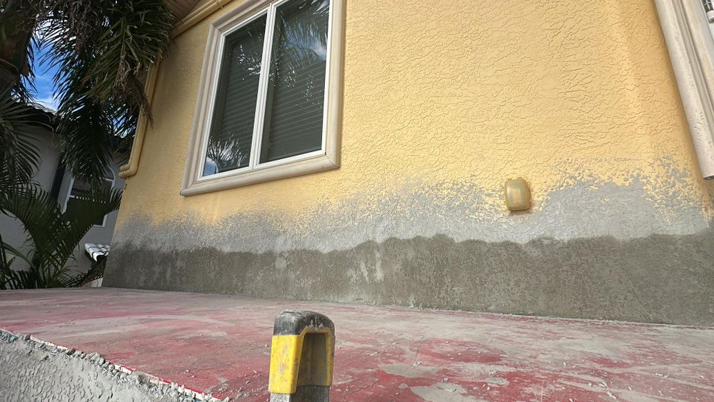 All Photos for Escorpio Painting in Tampa, FL