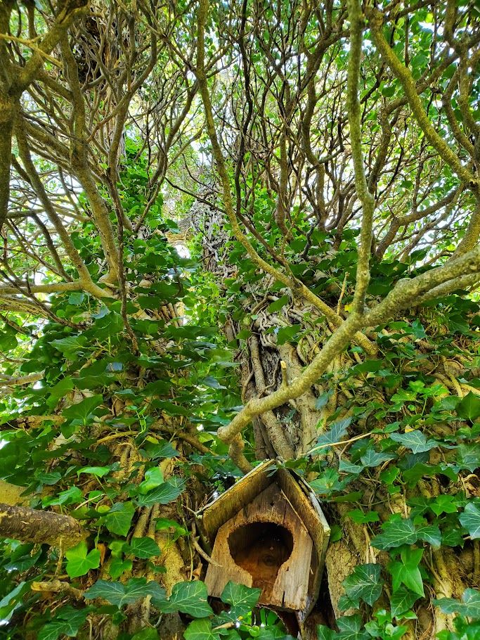 All Photos for Evolution Earthscapes, LLC in Ludlow, MA