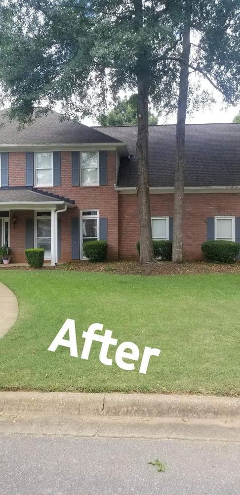 Tree Removal for DNA Tree Service in Birmingham, AL