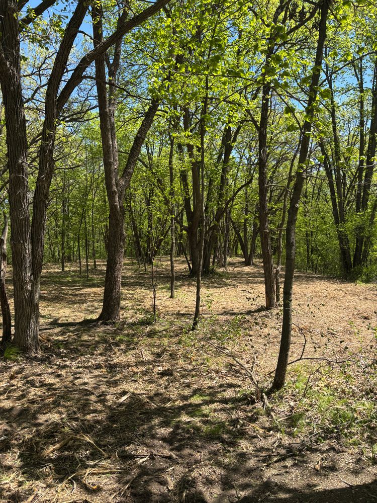 All Photos for Root Land Management in Watkins, MN