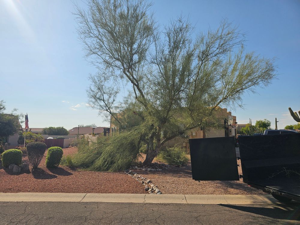 All Photos for T's Tree Service and Firewood in Apache Junction, AZ