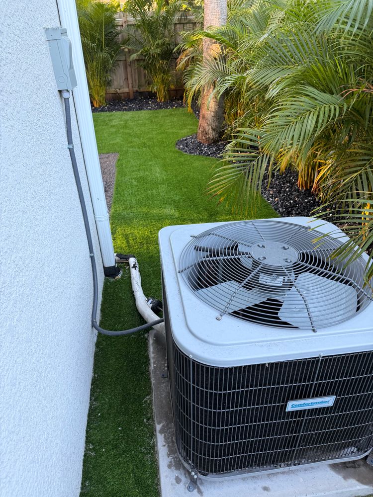 All Photos for Team Tolson Landscape in Tampa Bay, FL