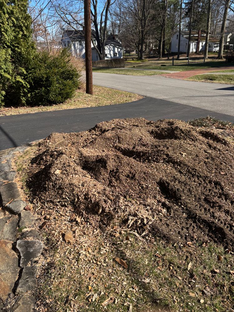 All Photos for Dean's Stump Removal in Youngstown, OH