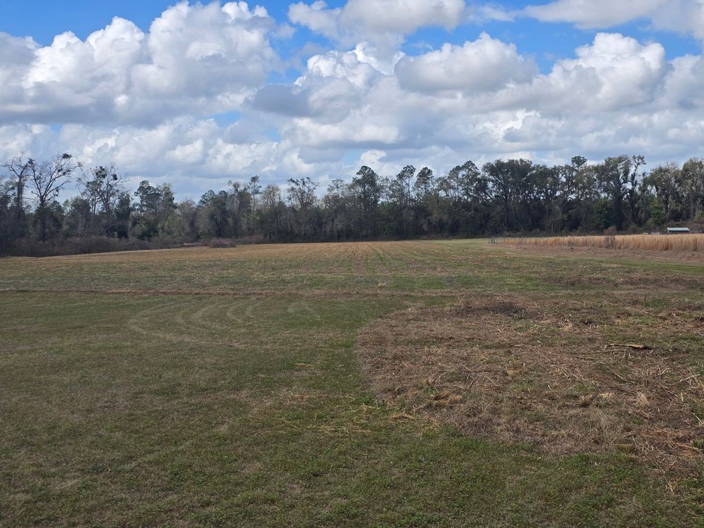 All Photos for Giles Land Management, LLC in Hahira, GA