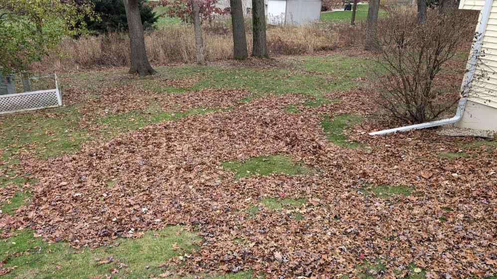 All Photos for TCB Lawn Care & Snow Removal in Sun Prairie, WI