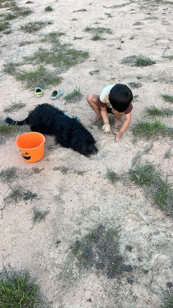 All Photos for MVP A/C & Mechanical LLC in Magnolia, TX