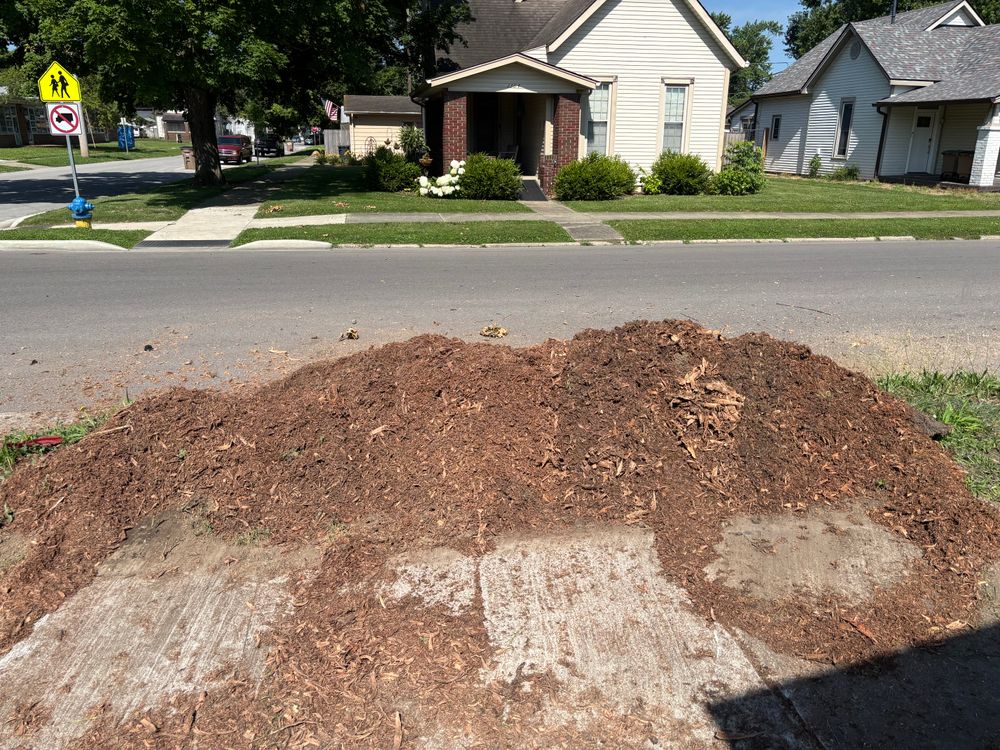 All Photos for Conrad's Stump Removal in Columbus, IN