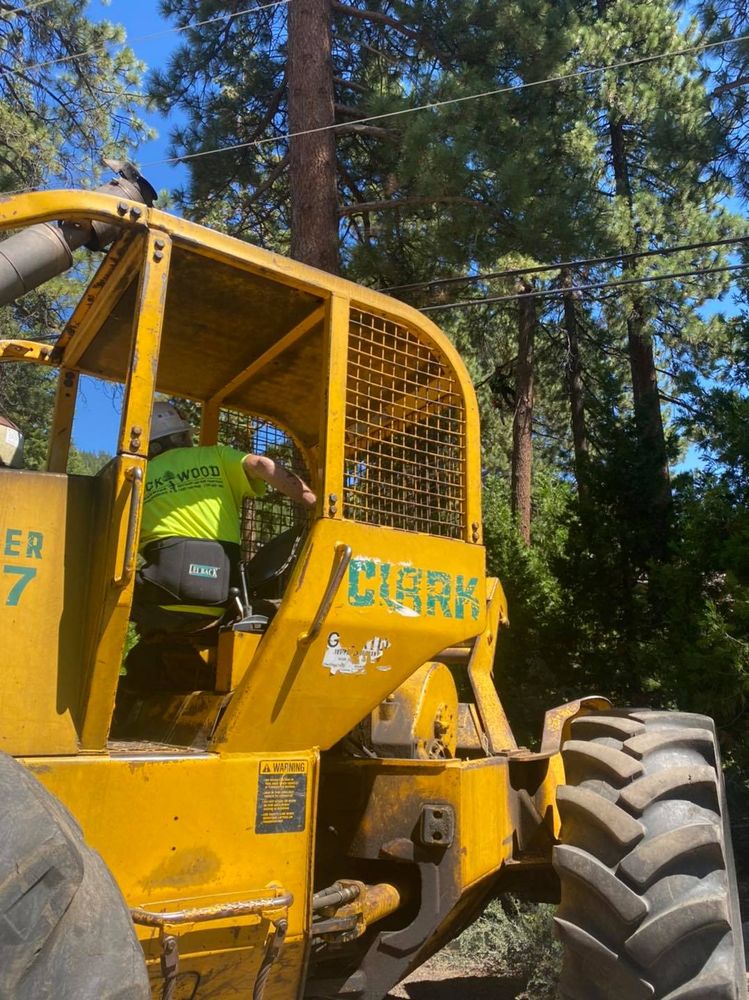 Rockwood Tree Service team in Incline Village,  NV - people or person