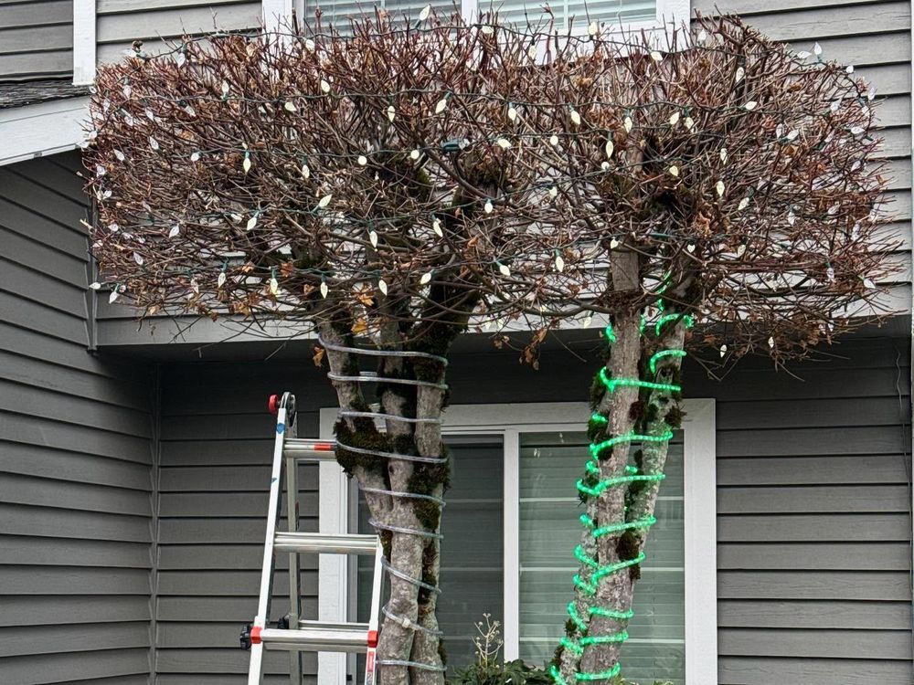 All Photos for J. Jensen Enterprises in Renton, WA