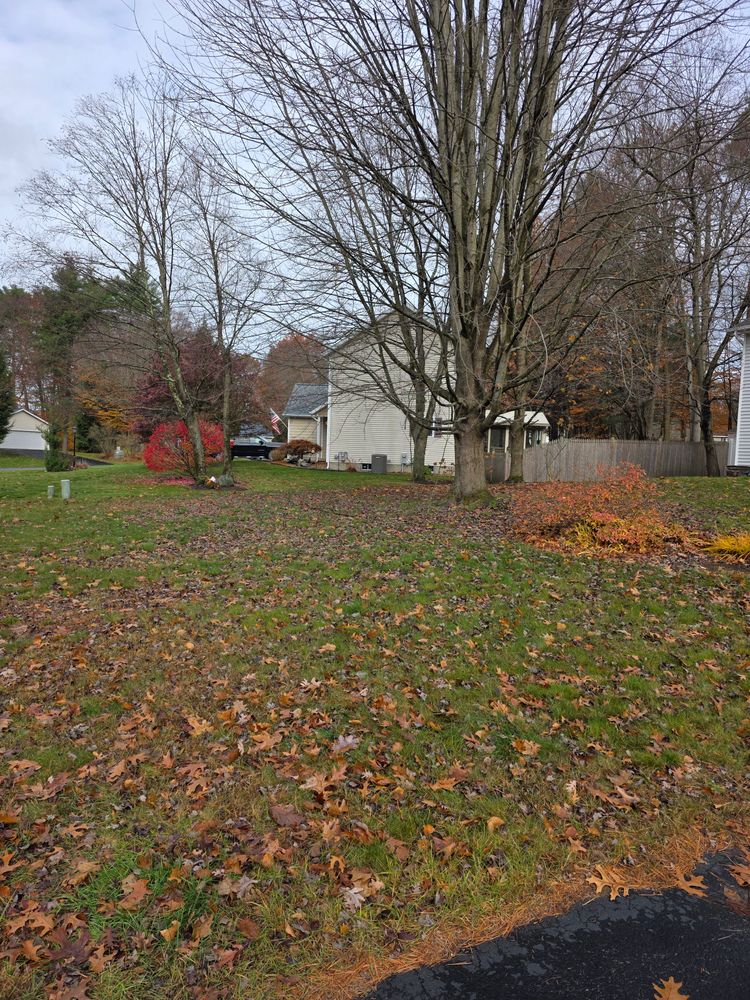 All Photos for Sweet Scapes in Ballston Spa, NY