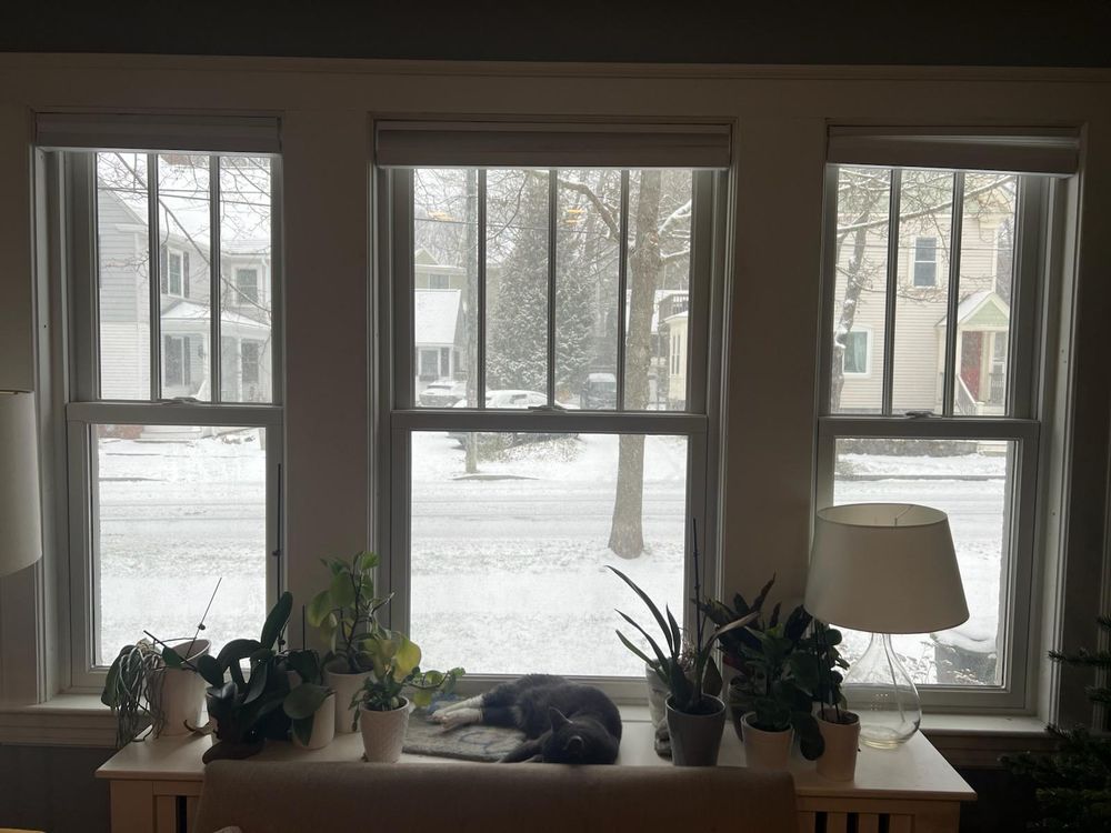 All Photos for LeBlanc’s Property Solutions in Lee, NH