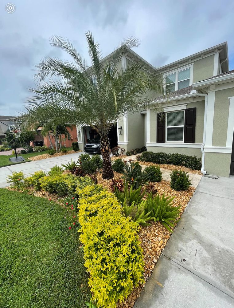 Landscaping for Team Tolson Landscape in Tampa Bay, FL