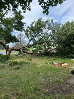 All Photos for Allstate Tree Service and Crane in Spring Lake Park, MN