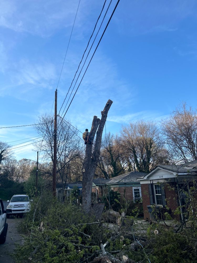 All Photos for Oakhurst Landscaping and Tree Service in Charlotte, NC