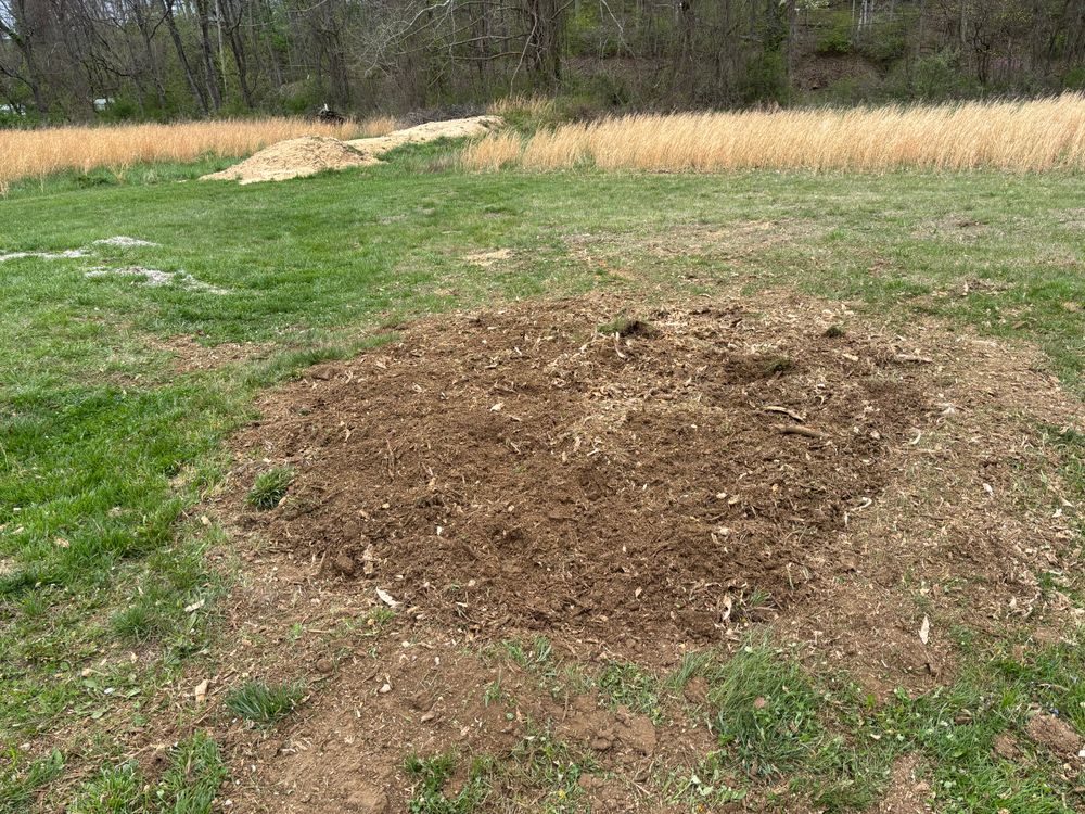 All Photos for Conrad's Stump Removal in Columbus, IN
