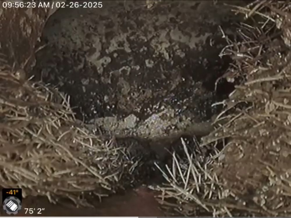 All Photos for Golden Peak Inspection in Golden, CO