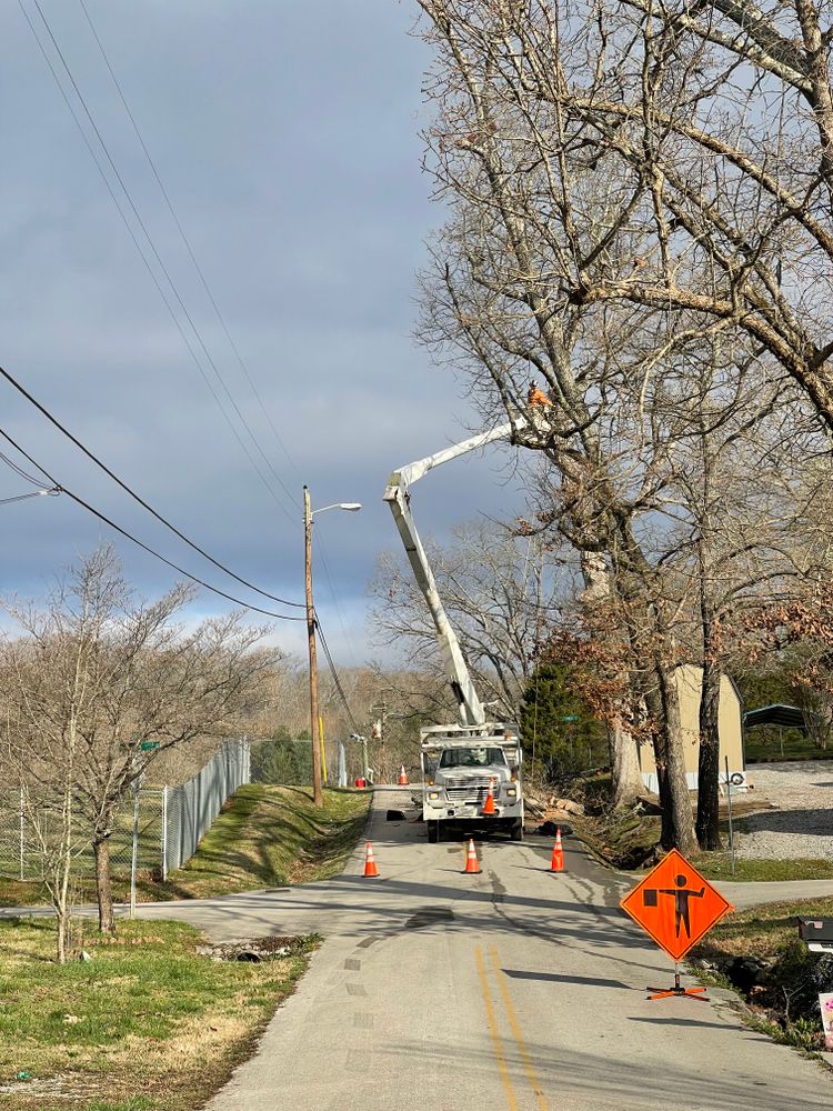 All Photos for Lucky’s Tree Removal and Landscape Services in Knoxville, TN