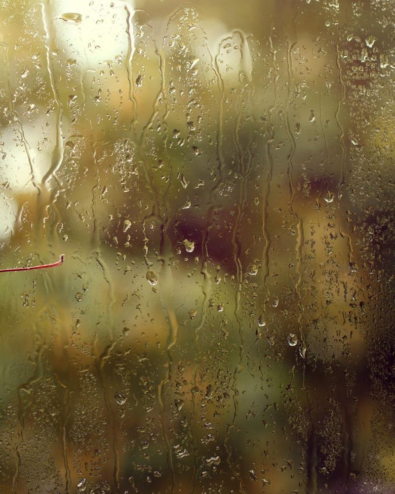 All Photos for Oakwood Tree Removal LLC in Oak Creek,  WI