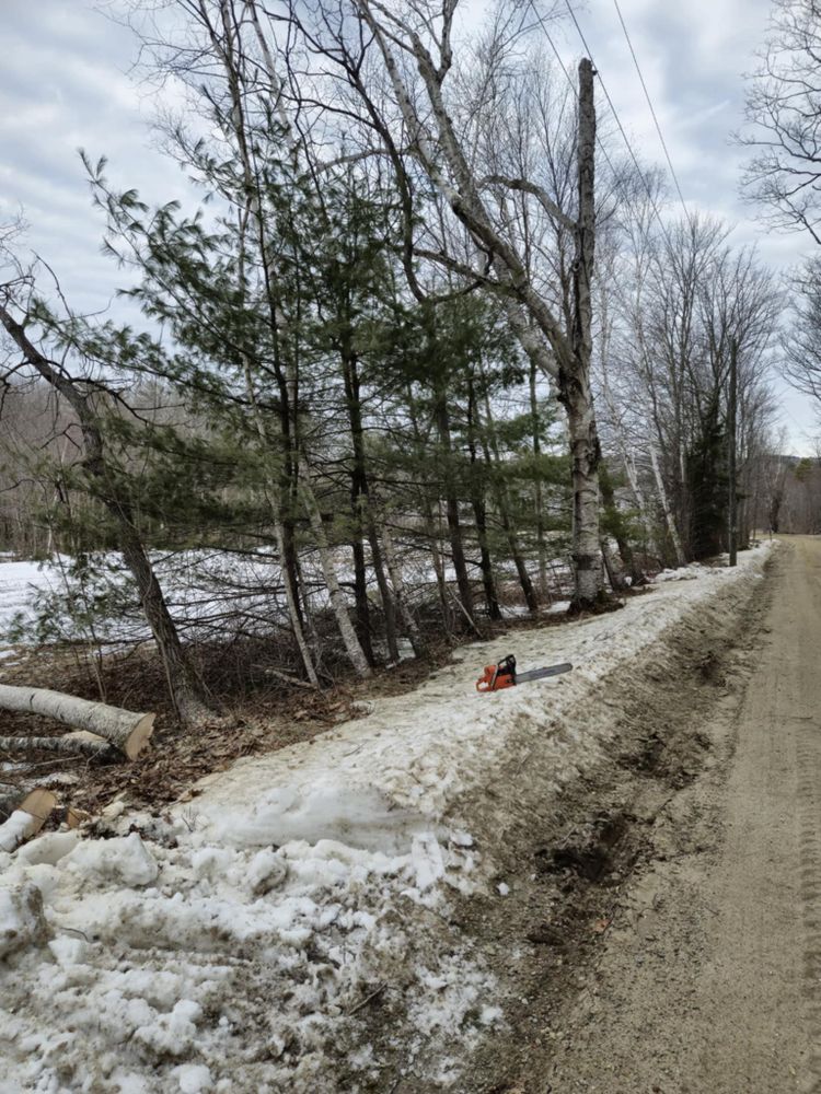 Our Hazard Tree Removal service ensures safe and efficient tree removal, protecting your property from potential damage dangerous trees that pose an immediate threat to life/property caused including unstable or diseased trees. Trust our experts for reliable and professional care. for Abair Tree Service in Weare, NH