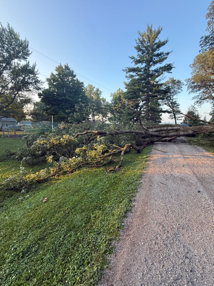 All Photos for Hunnicutt’s Tree Service L.L.C. in Monticello, IN