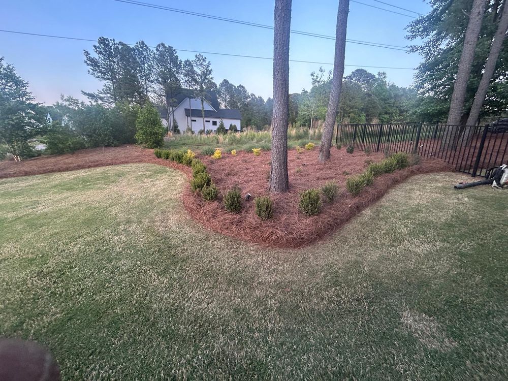 All Photos for Jem Landscaping in Wendell, NC