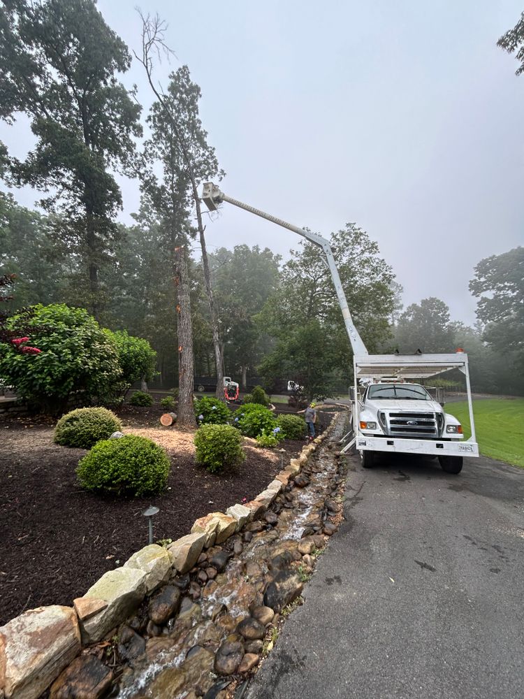 All Photos for Chipper's Tree Service  in Fort Payne, AL