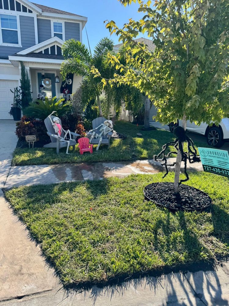 All Photos for Shoreside Property Services in Apollo Beach, FL