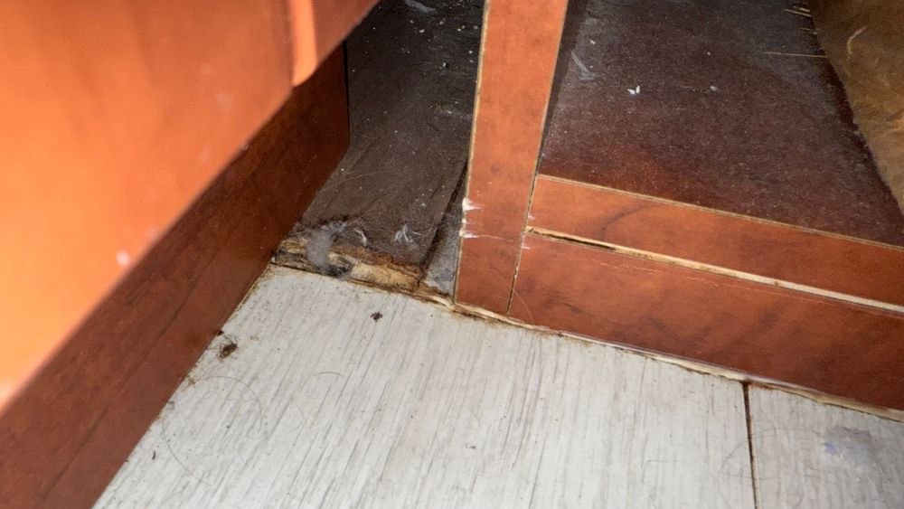 All Photos for Surplus Public Adjusters in Miami-Dade County, FL