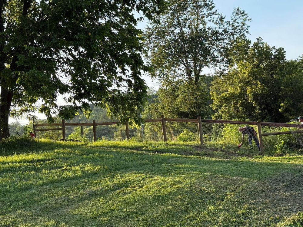 All Photos for HAM Fencing in Carlisle, KY