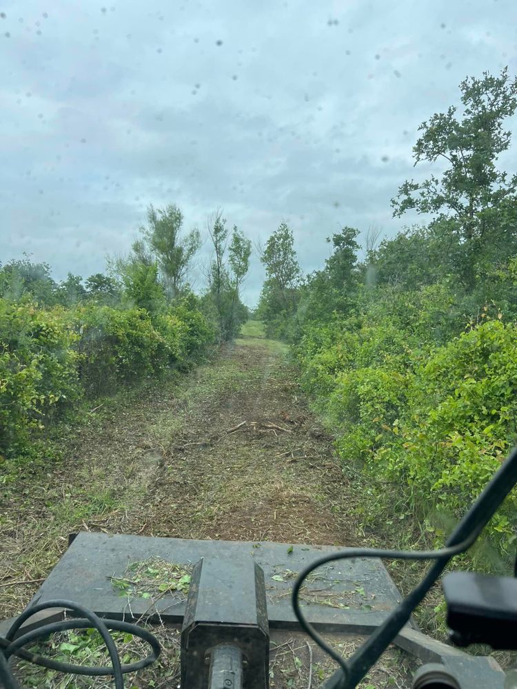 Land Clearing for D&D Custom Services in Jacksboro,  TX