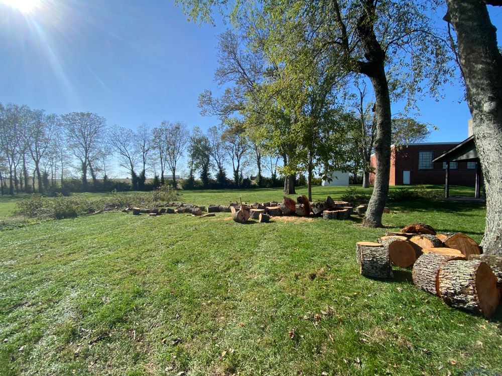 All Photos for Houtz Tree Service in Lexington, KY