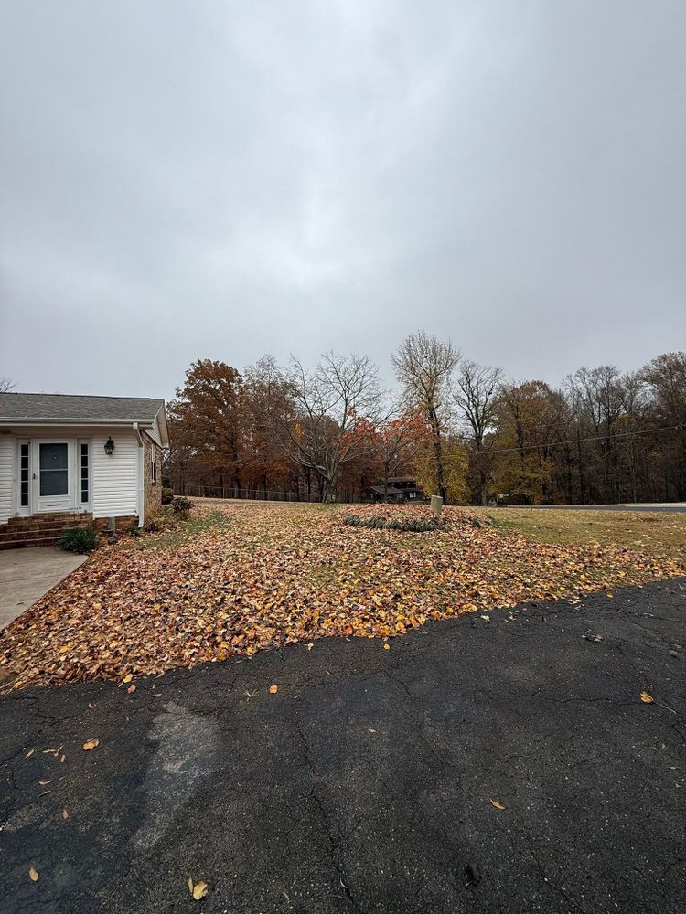 All Photos for Mud Creek Vegetation Management in Russellville, AL