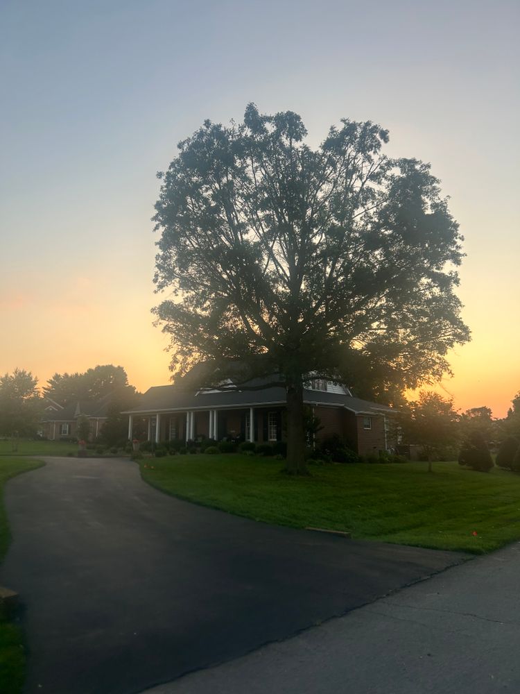 All Photos for Optimum Tree Service And Landscaping in Bowling Green, KY