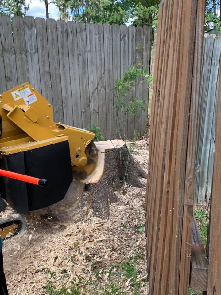 Our stump removal service effectively removes unsightly tree stumps from your yard, ensuring a clean and clear landscape. Trust our experienced team to efficiently handle this challenging task for you. for Alford’s Tree and Stump Services LLC in Lake City, FL