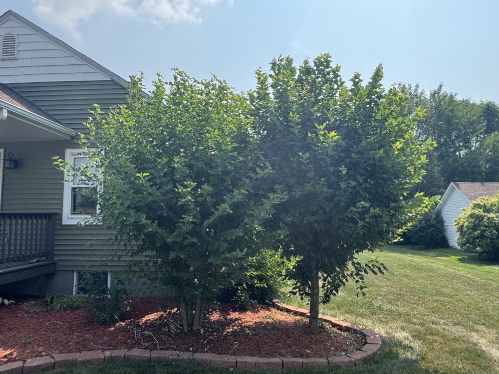 Landscaping Lawn Care for Daugherty's Tough Lawn Care in Essexville, MI