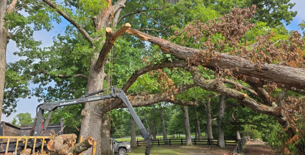 All Photos for Smith Tree Experts in Palmyra, VA