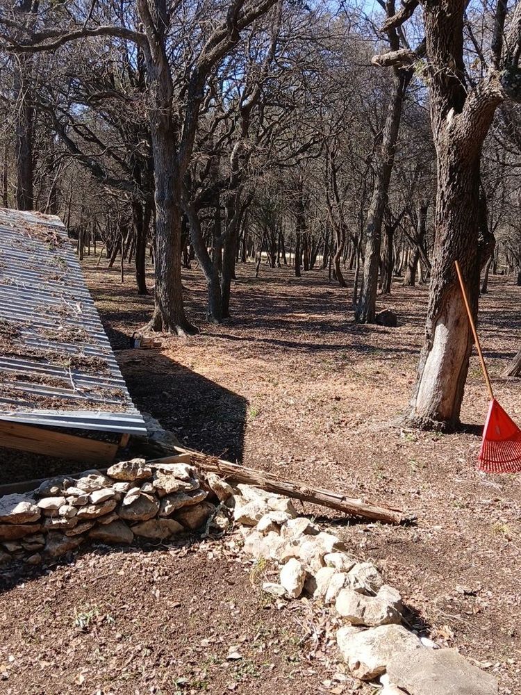 Tree Removal for Superior Lawn and Tree LLC in Clifton, TX