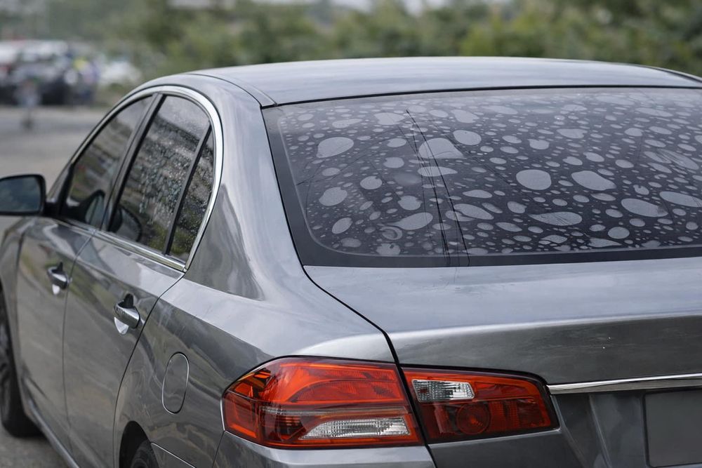 Windshield Repair for Apex Auto Pros Window Tinting - Auto Customizing & Performance Myrtle Beach in Myrtle Beach, SC