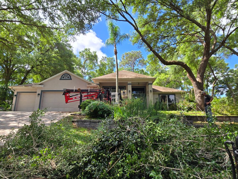 All Photos for Near Me Tree Service, Inc. in DeLand, FL